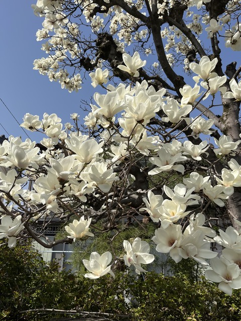 71810F5F-3743-45BB-B65F-DCDFE55657FA