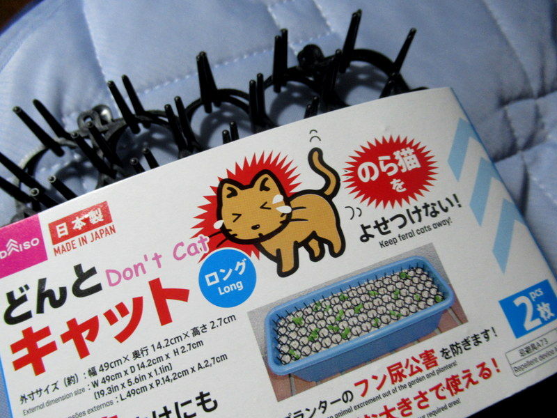 いじめたい猫が居る時はコレ 猫がいっぱい