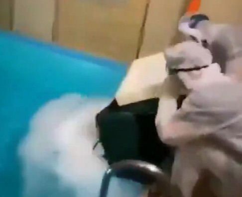 映像あり 著名インスタ女 受け狙いで プールにドライアイス30キロ投入 旦那含む3人死亡 ゲームかなー