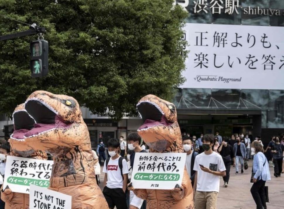 ヴィーガン 気持ち悪い宗教 動物愛護団体が渋谷でヤバすぎるパフォーマンス デマに踊らされる反ワクチン論者と同じ ゲームかなー