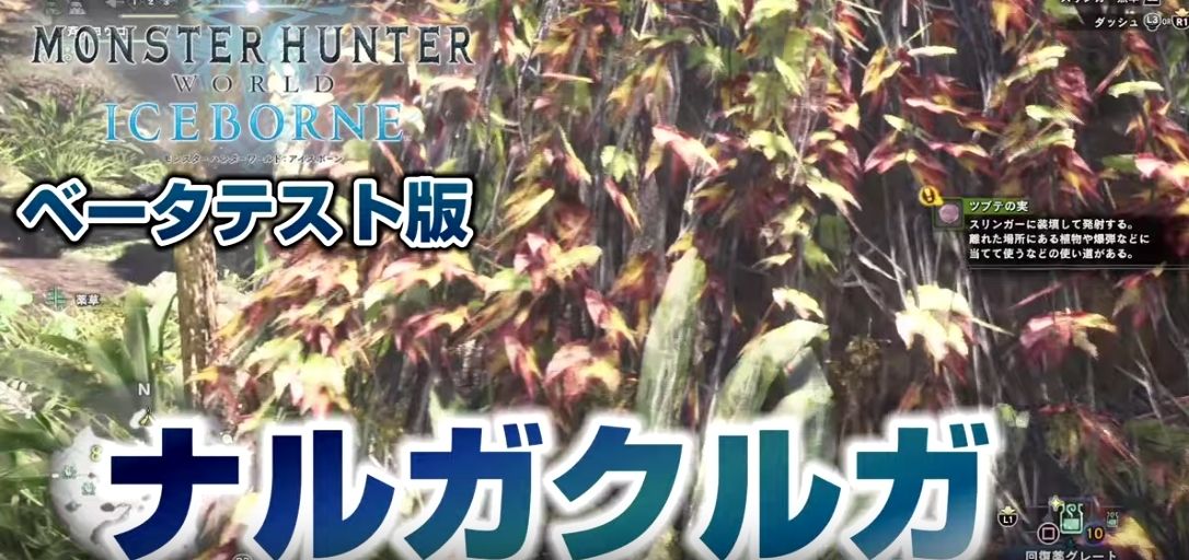 出現条件も判明 モンスターハンター ワールド アイスボーン Bテストにナルガクルガ追加 ゲームかなー 出現条件も判明 モンスターハンター ワールド アイスボーン Bテストにナルガクルガ追加 ゲームかなー