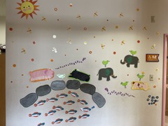 IMG-0527