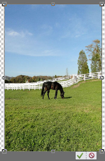 縦長の写真を横向きに使いたい時 Photoshop Elements11の使い方講座 縦長の写真を横向きに使いたい時 Photoshop Elements11の使い方講座
