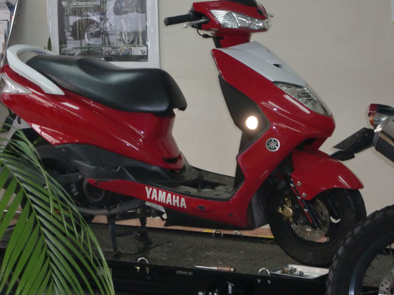 シグナスＺにキャブヒーター : A diary of the ピュアスポーツ・モリ