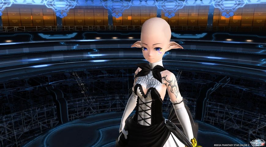 Pso2 多少脳勃起してるくらいが可愛い Pso2 らん豚まとめ速報