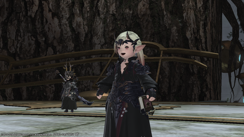 ffxiv_20160101_162208