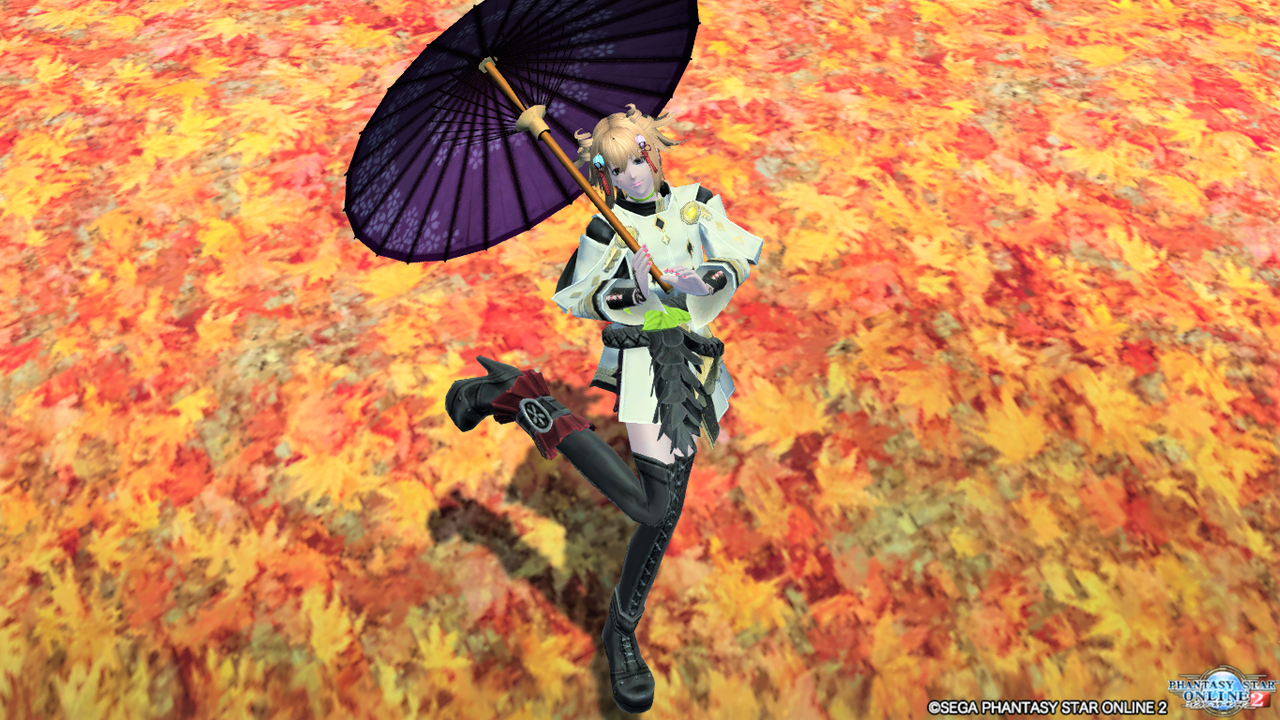 Pso2 Arksコーディネート部 Pso2 ハナドキ ｏｕ ハナヤギｍ ｂａ コーデと髪型