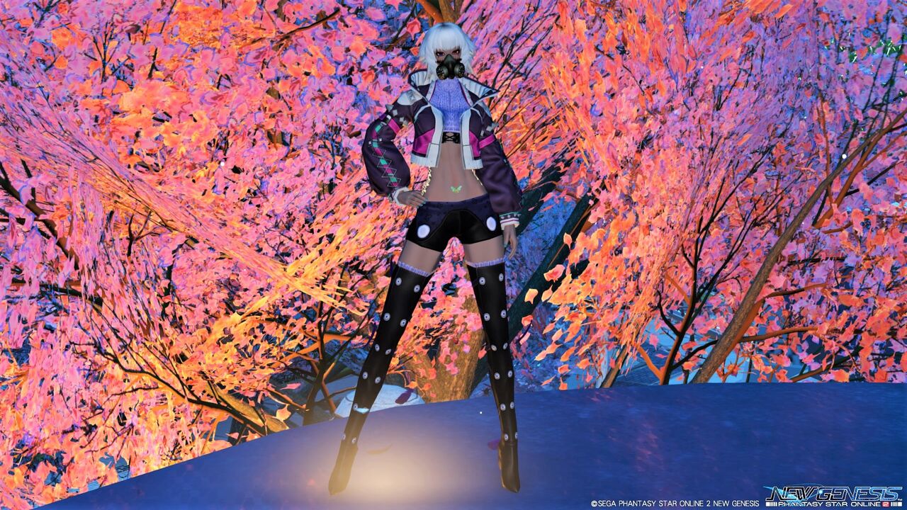 《PSO2･NGS》ARKSコーディネート部｡:《PSO2》 ブレイク[Ou]＋ヘルガ[Ba]のサイバー風コーデ