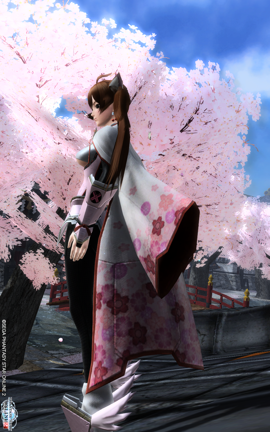 下乳羽織 Pso2カメラローる