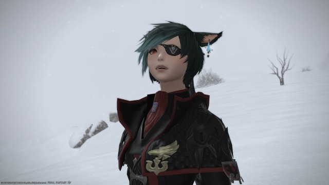 ffxiv_20200518_000202_279