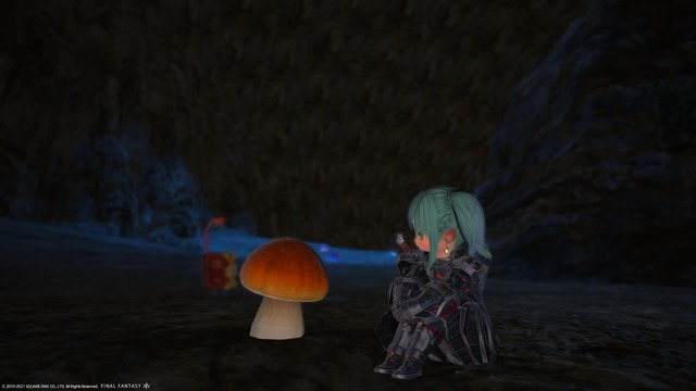 ffxiv_20211205_220107_998