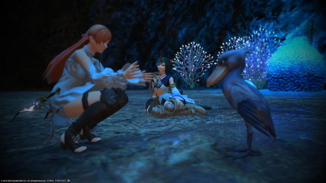ffxiv_20200307_221748_853