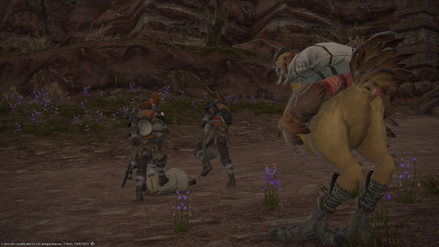 ffxiv_20210912_001726_424