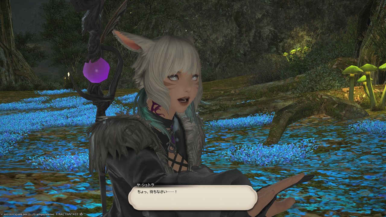 Ff14 ロンカの護り手 ファノヴの里 ぷそから