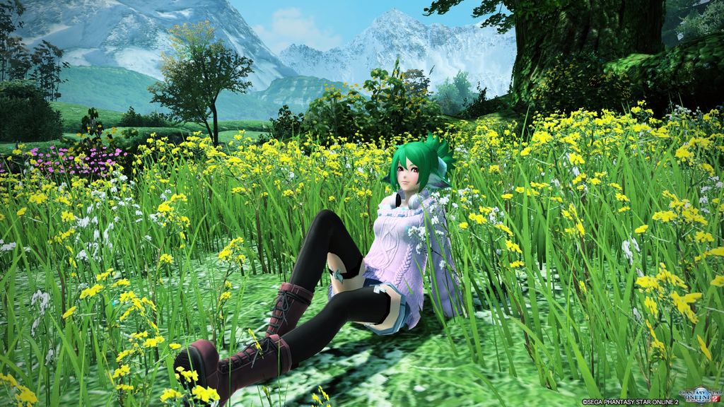 Pso2 ショートカット登録でらくらく撮影 ぷそから