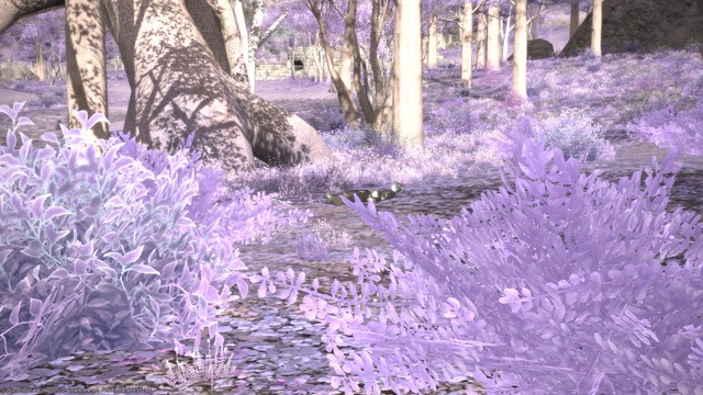 ffxiv_20190707_011246_037