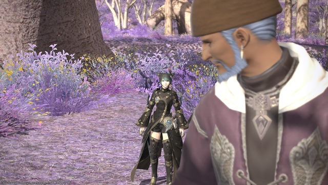 ffxiv_20190707_011401_740