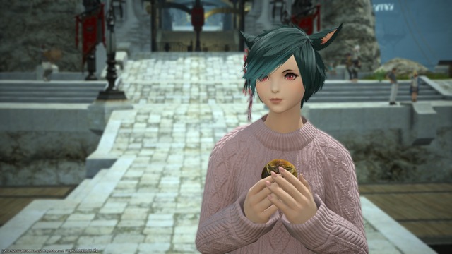 ffxiv_20200315_213025_115