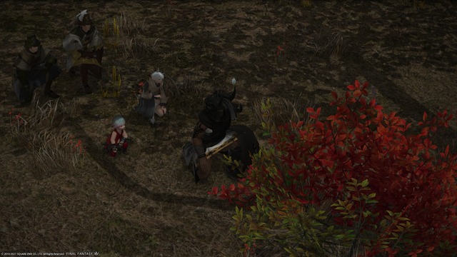 ffxiv_20210912_003840_797