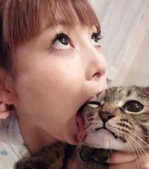 https://livedoor.blogimg.jp/psychopass1979/imgs/a/5/a536a330.jpg