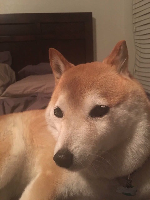 no title