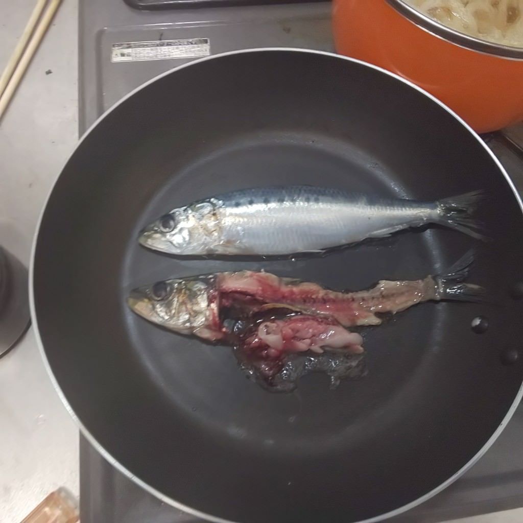 速報 ワオ 初めて魚を捌く なんjワールド 速報 ワオ 初めて魚を捌く なんjワールド