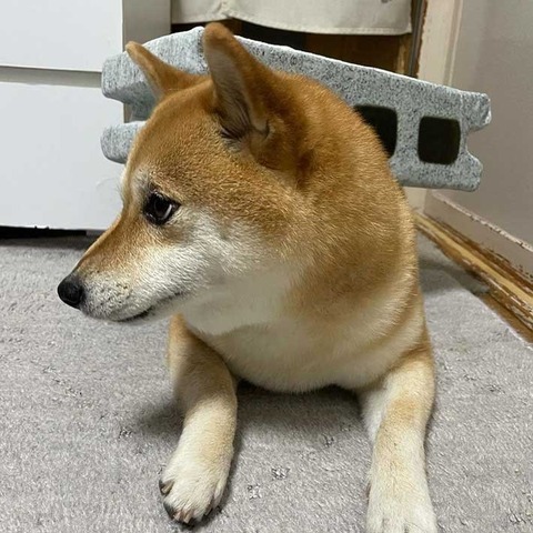 no title