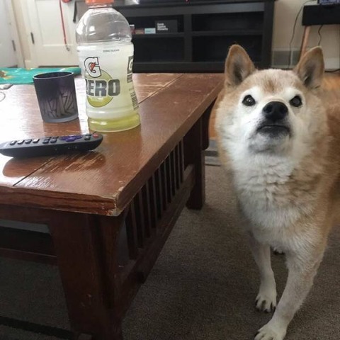 no title