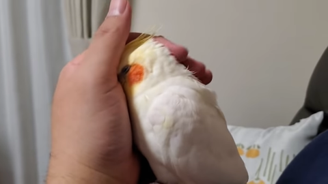 no title