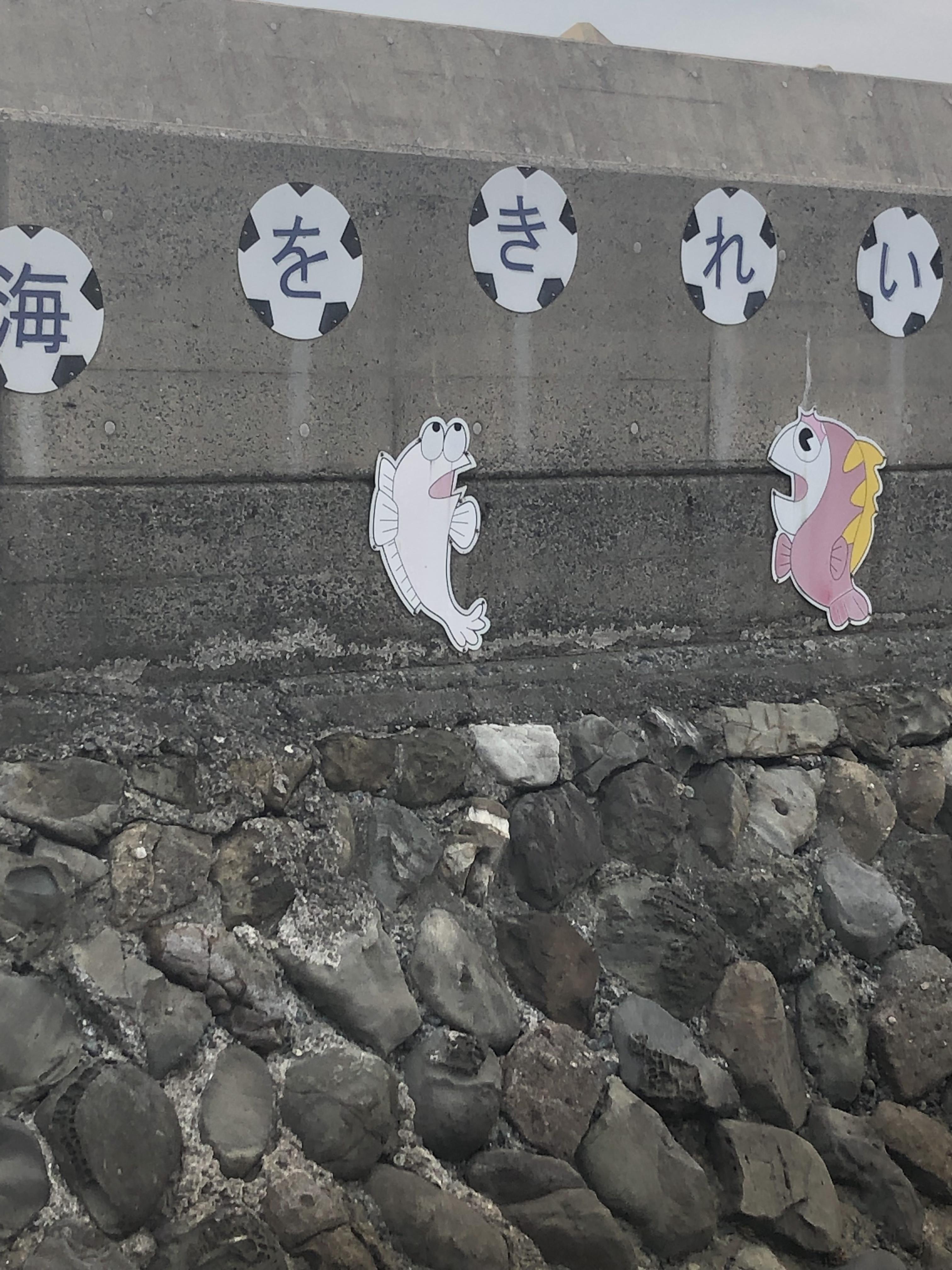 画像 なんj民彡 ﾟ ﾟ 魚だった なんjワールド