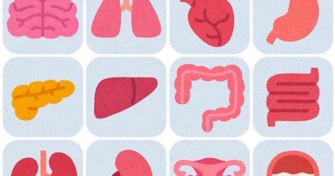 thumbnail_body_icon_f