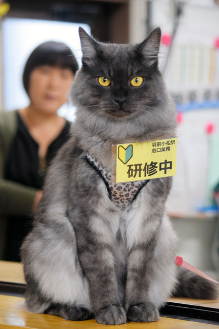 （ヽ´ん`）「巻かれてるセクシーランジェリーは後ろのご婦人のものかな」 	