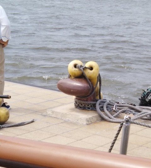 no title