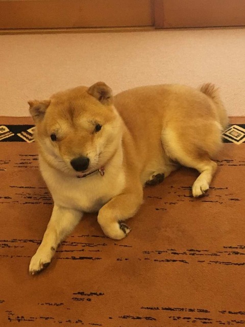no title