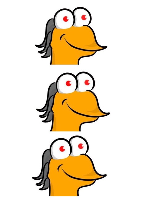 no title