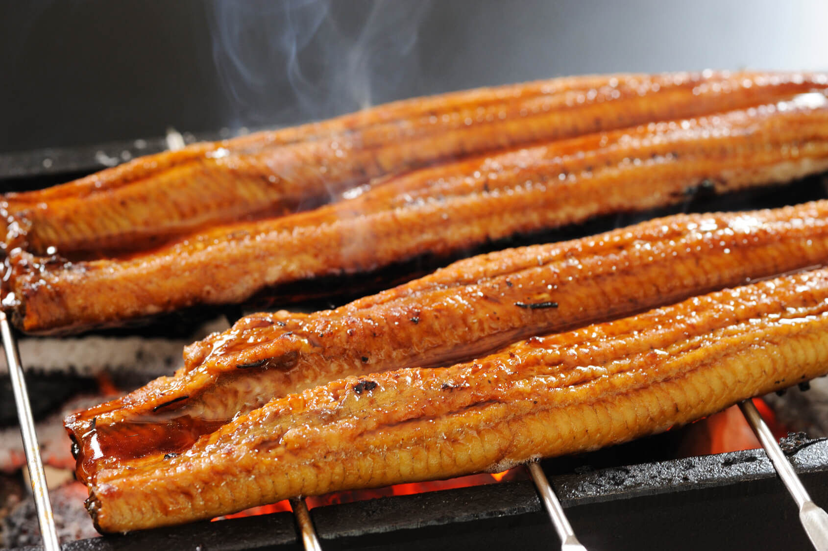 彡 ﾟ ﾟ 鰻ってそんなうまいんか 食べたことない なんjワールド