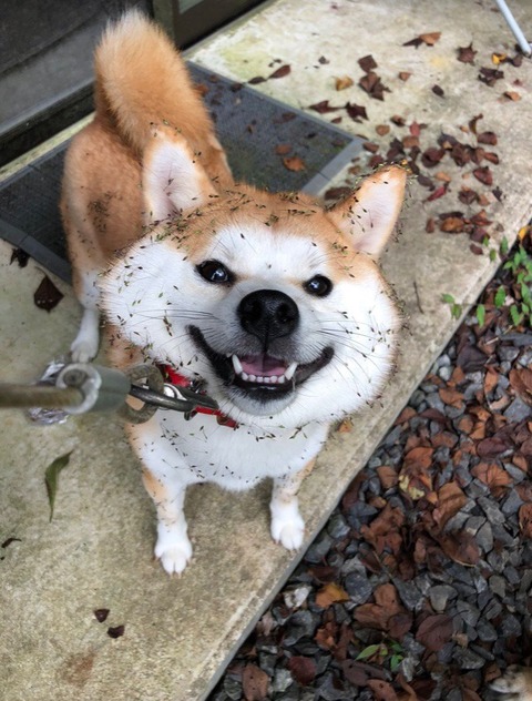 no title