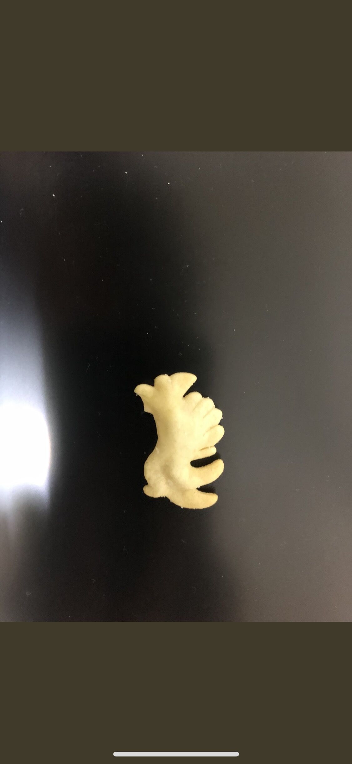 緊急 おっとっとに謎の生き物がいるんだが なんjワールド 緊急 おっとっとに謎の生き物がいるんだが なんjワールド