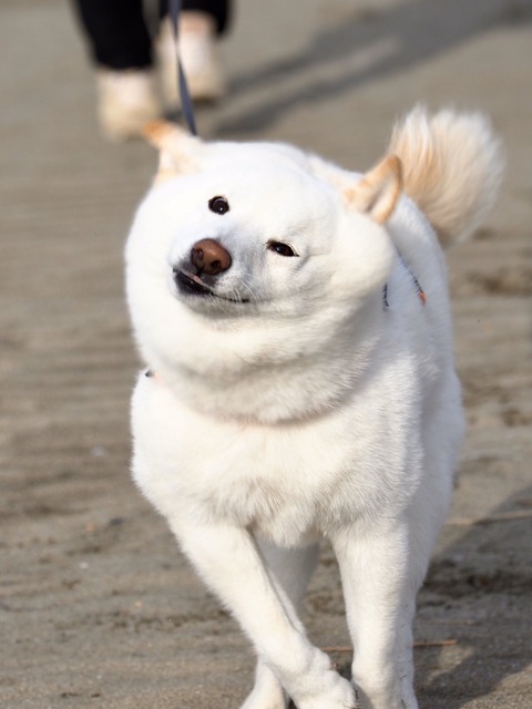 no title