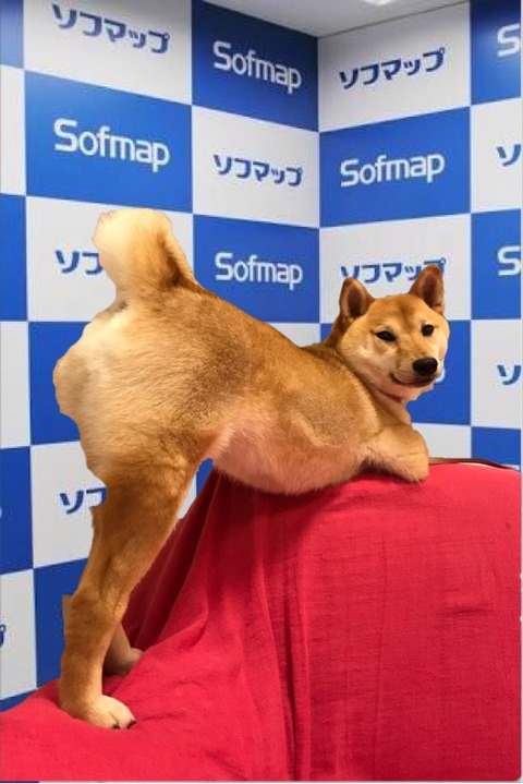 no title