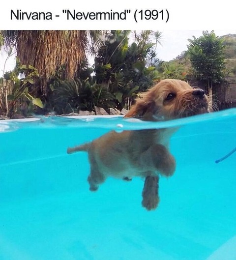 no title