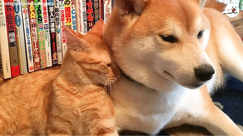 no title