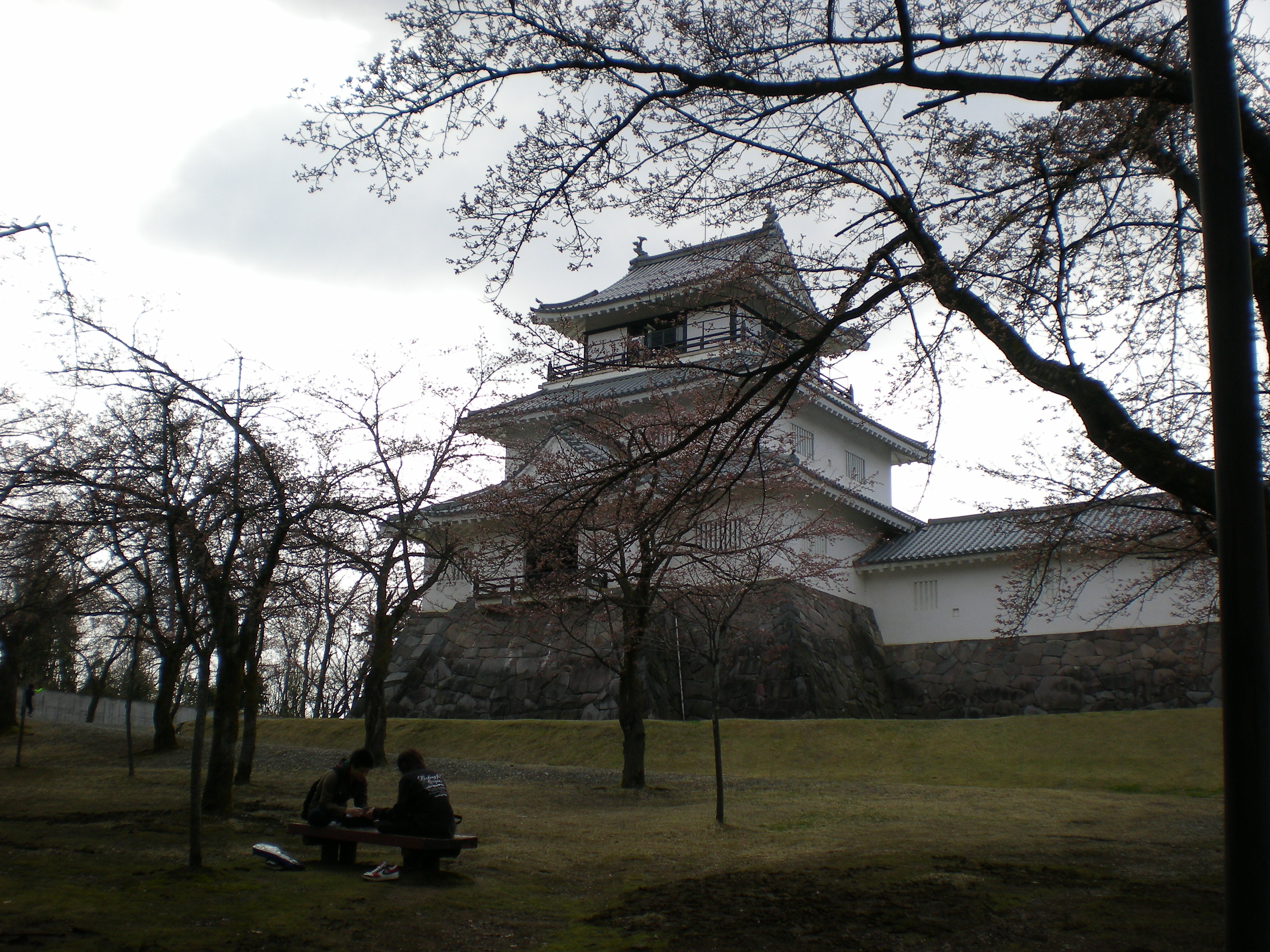 悠久山公園 お花見 我人生道 天地人