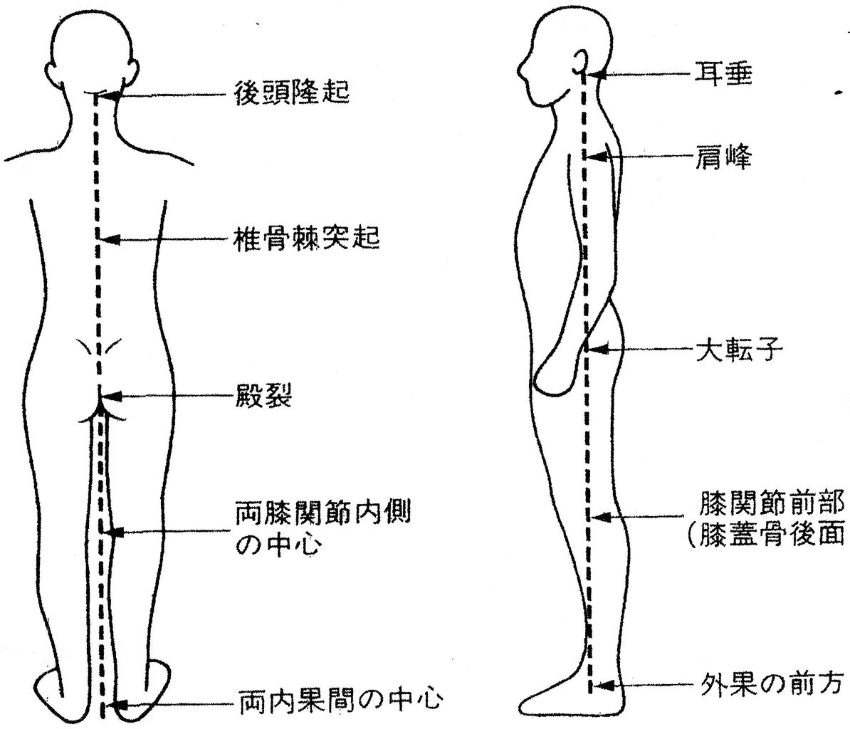 身体のABC第18弾【姿勢】 : Pilates Trainers Circle OFFICIAL BLOG