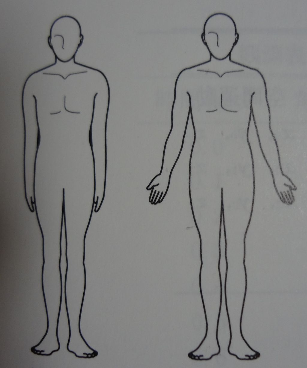 身体のabc第二弾 運動面と軸 パート Pilates Trainers Circle Official Blog