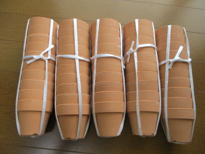 素焼き鉢 ２号を５０鉢 じぃじ のミニ盆栽日記