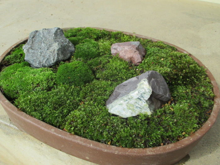 自然石 苔付き 大きな石と小さな石の組み合わせ Bonsai diary ♯130「石と苔と木を組み合わせて楽しむ石付き盆栽作り