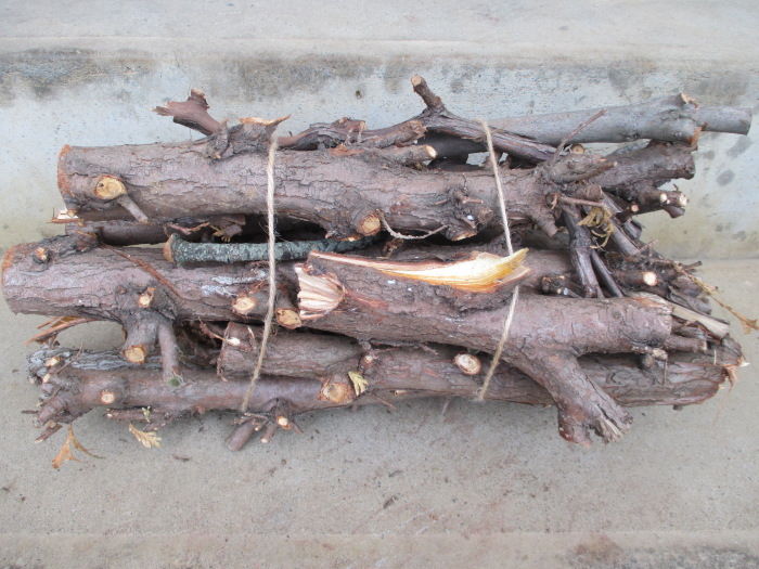 庭木の剪定枝で木札作り じぃじ のミニ盆栽日記