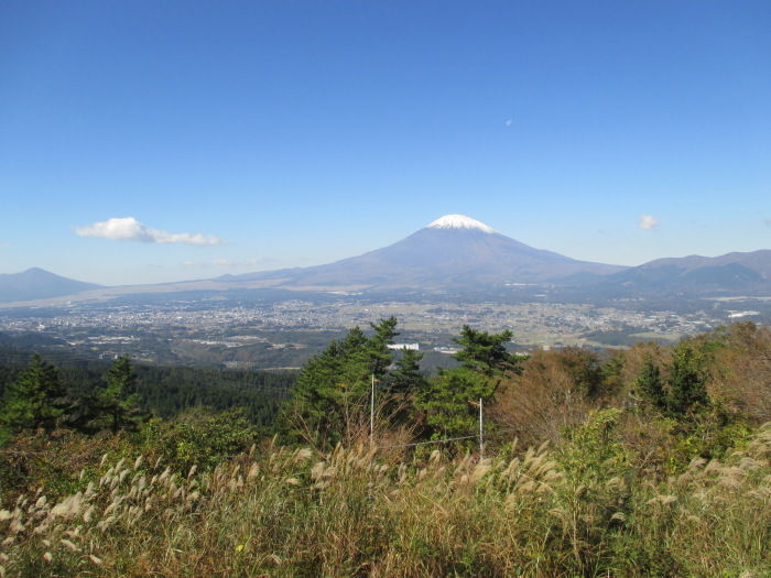足柄城址からの富士山 じぃじ のミニ盆栽日記