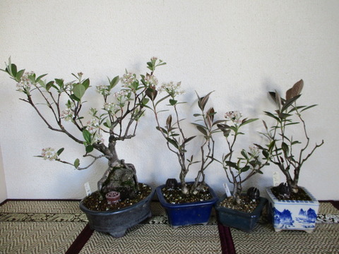 59f37663-s.jpg